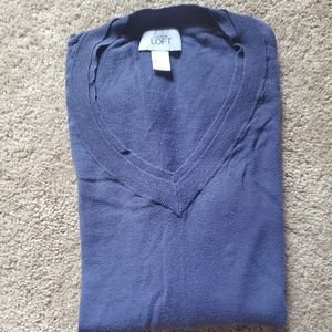 Ann Taylor Loft V-neck sweater